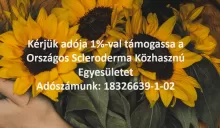 adó 1%